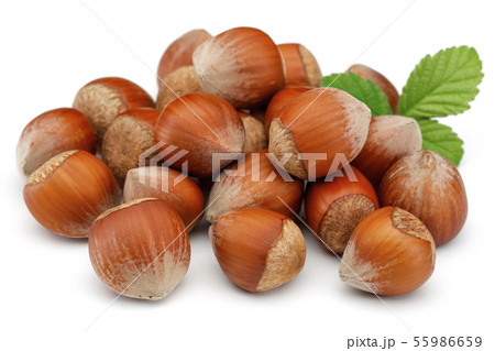 Hazelnuts and leaves isolated on white 55986659
