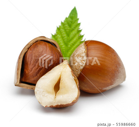 Hazelnuts and leaf isolated on white 55986660