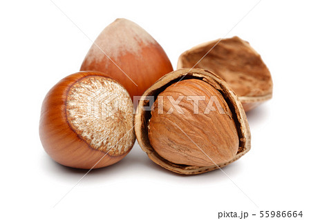 Group of hazelnuts isolated on white Group of hazelnuts isolated on white 55986664