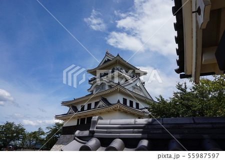 城 城 55987597