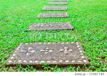 Beautiful brick blocks with flowers on the grass. Beautiful brick blocks with flowers on the grass. 55987780