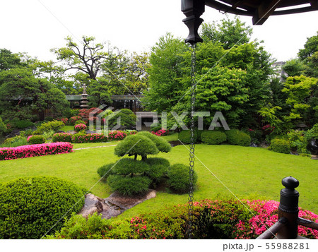 柴又帝釈天庭園 柴又帝釈天庭園 55988281