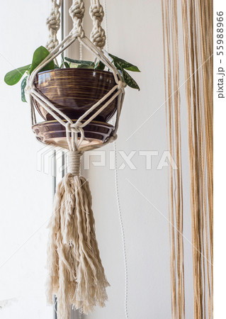 Handmade macrame for flowers in the interior of 55988966