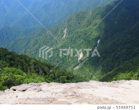 甲武信ヶ岳（晴天の道中） 55989751