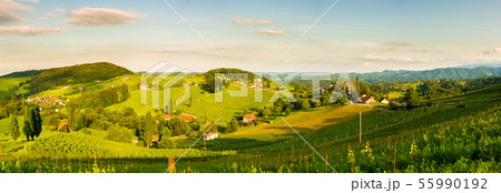 Grape hills and mountains view from wine street in 55990192