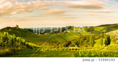 Grape hills and mountains view from wine street in 55990193