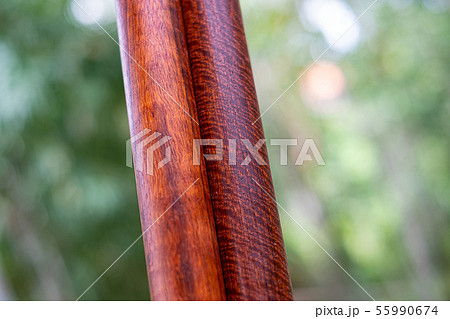 Wood logs round lath of Burma padauk Wood logs round lath of Burma padauk 55990674