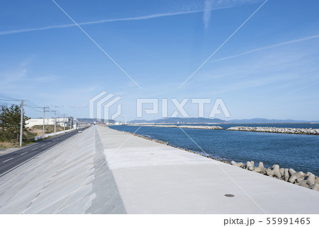 防潮堤 防災 減災 東松島市 東北地方 防潮堤 防災 減災 東松島市 東北地方 55991465