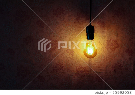 電灯 照明 ランプ 55992058