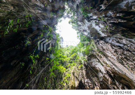 洞窟に注ぐ神秘の光 洞窟に注ぐ神秘の光 55992466