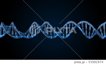 DNA code. Abstract 3d polygonal wireframe DNA. DNA code. Abstract 3d polygonal wireframe DNA. 55992974