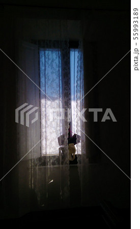 太陽 日 お日様 55993189