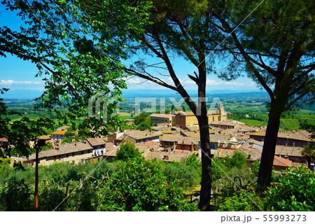 屋根 ルーフ 屋根ふき材 55993273