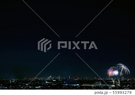 東京の夜景と花火(狛江・多摩川花火大会) 東京の夜景と花火(狛江・多摩川花火大会) 55993279