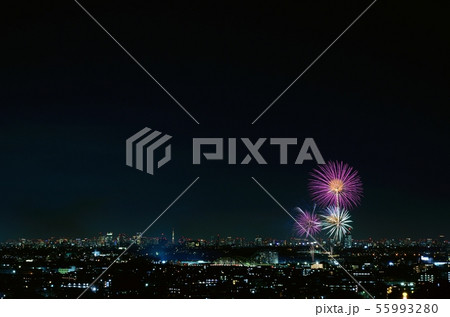 東京の夜景と花火(狛江・多摩川花火大会) 東京の夜景と花火(狛江・多摩川花火大会) 55993280