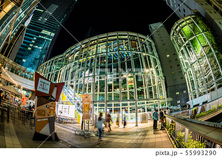東京 夜の渋谷ストリーム(稲荷橋広場) 東京 夜の渋谷ストリーム(稲荷橋広場) 55993290