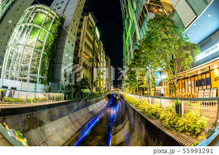 東京 夜の渋谷川 東京 夜の渋谷川 55993291