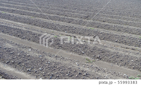 農業イメージ（畑・黒土） 55993383