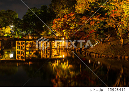 日本100名城 秋の国宝彦根城 玄宮園 ライトアップの写真素材