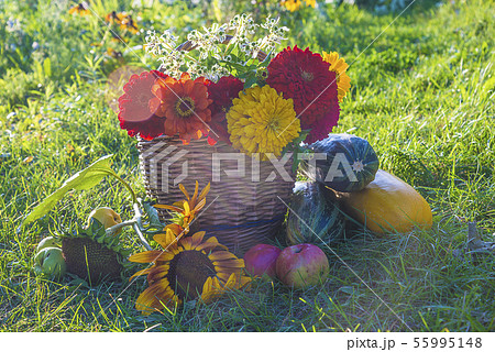Beautiful summer gardening concept Beautiful summer gardening concept 55995148