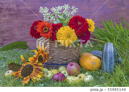 Beautiful summer gardening composition Beautiful summer gardening composition 55995149