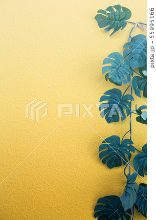 Bright yellow painted wall framed with green tropical palm leaves, sunlight with shadows patterns 55995166