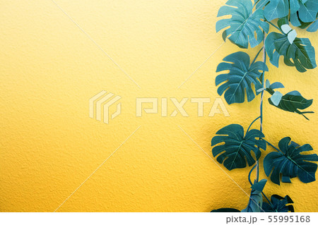 Bright yellow painted wall framed with green tropical palm leaves, sunlight with shadows patterns Bright yellow painted wall framed with green tropical palm leaves, sunlight with shadows patterns 55995168