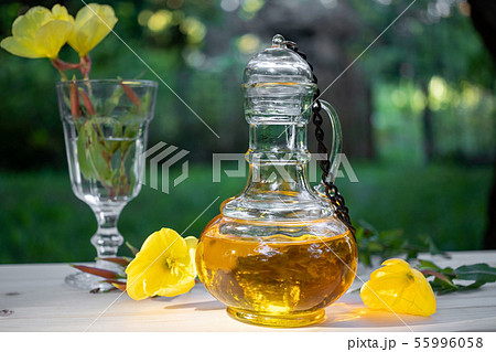 A bottle of evening primrose oil and fresh plant 55996058