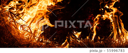 Nature on fire. Night shot. Themes of fire, disaster and extreme events. Background with copy space 55996783