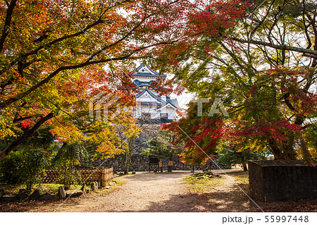 日本100名城 秋の国宝彦根城 天守の写真素材