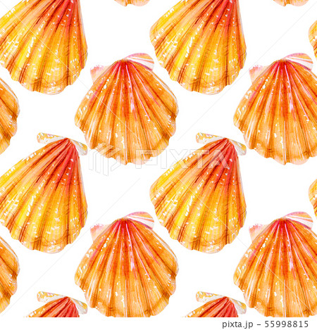 Seamless pattern of yellow scallops. 55998815