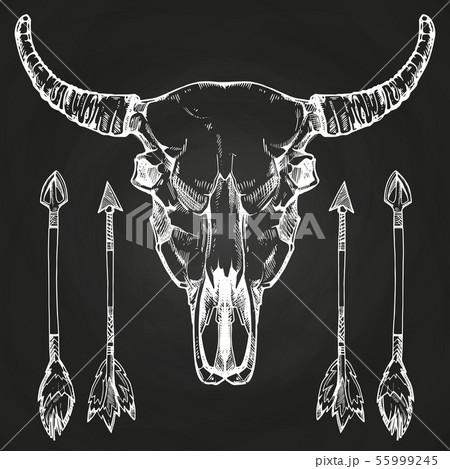 Hand drawn buffalo skull and arrows Hand drawn buffalo skull and arrows 55999245