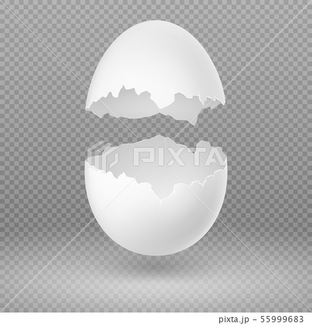 Opened White Egg With Broken Shell Isolated のイラスト素材