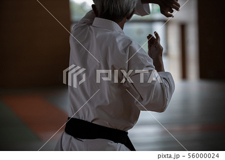karateka 56000024