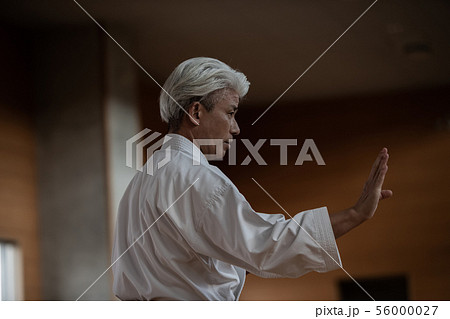 karateka 56000027