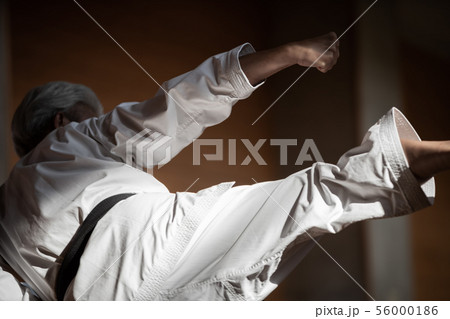 karateka karateka 56000186