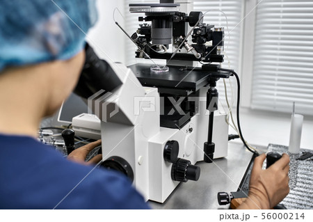 Process of in vitro fertilization in laboratory Process of in vitro fertilization in laboratory 56000214