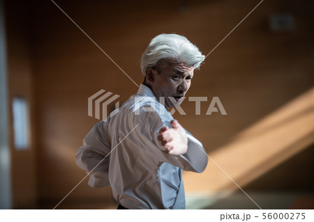 karateka 56000275
