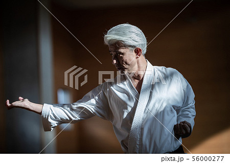 karateka 56000277