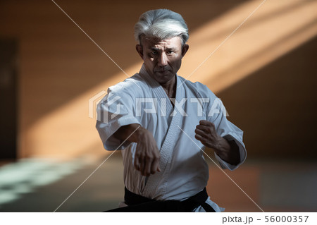 karateka 56000357