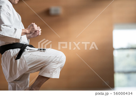 karateka karateka 56000434
