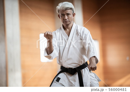 karateka 56000481