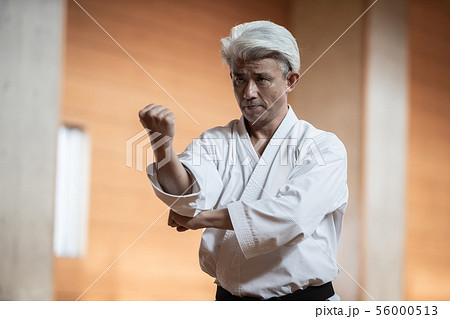 karateka 56000513