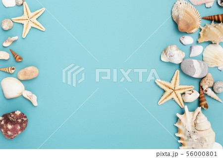 Frame of shells of various kinds on a blue 56000801