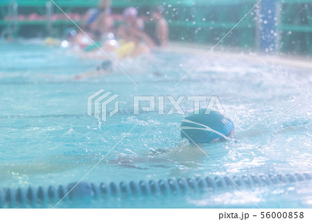 In the pool In the pool 56000858