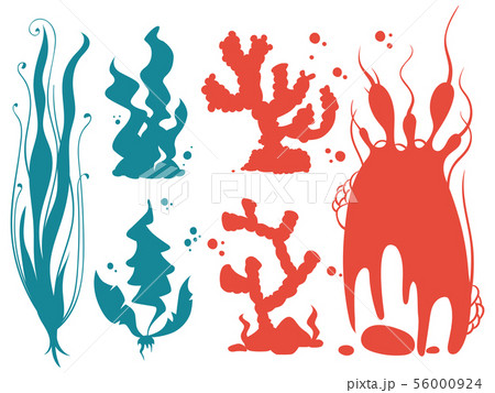 Underwater plants and corals silhouettes Underwater plants and corals silhouettes 56000924