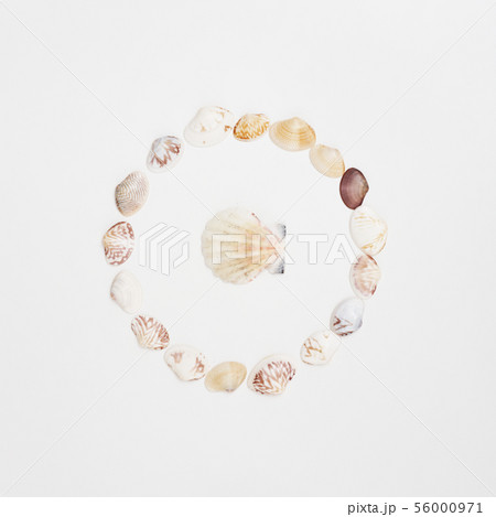 Flat lay of shells on a blue wooden background Flat lay of shells on a blue wooden background 56000971