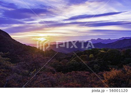 (群馬県)秋の妙義山から望む富岡市方面 夜明け (群馬県)秋の妙義山から望む富岡市方面 夜明け 56001120