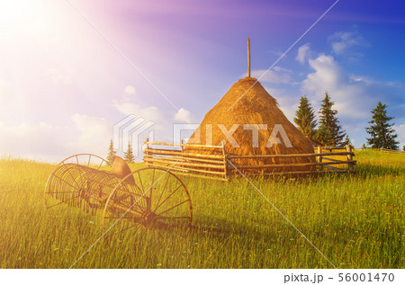 Carpathian mountain landscape 56001470