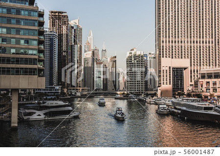 Dubai Marina at sunset 56001487